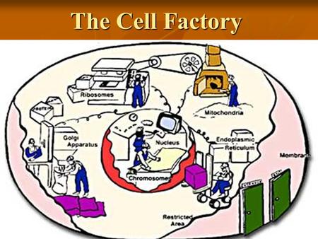 download nonlocal continuum field theories