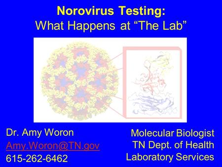 Norovirus Testing: What Happens at “The Lab”