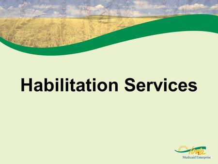 1 Habilitation Services. 2 Reason for the new program To separate rehabilitative and non- rehabilitative services programs ARO discontinued as of 6/30/07.