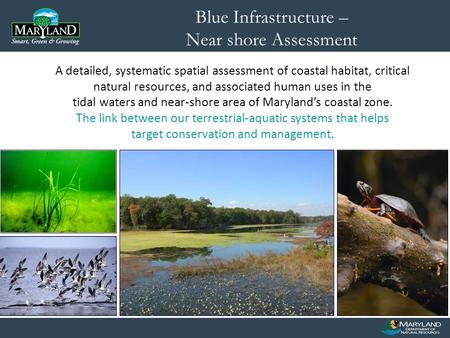 A detailed, systematic spatial assessment of coastal habitat, critical natural resources, and associated human uses in the tidal waters and near-shore.