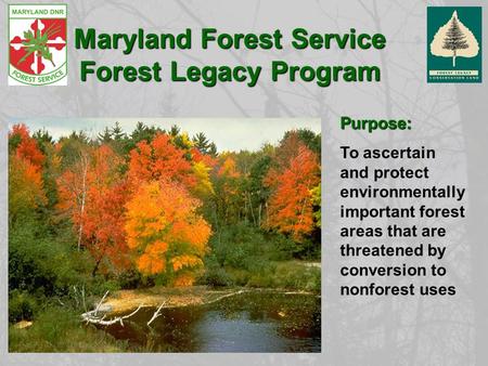 Purpose: To ascertain and protect environmentally important forest areas that are threatened by conversion to nonforest uses Maryland Forest Service Forest.