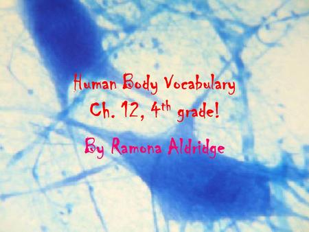 Human Body Vocabulary Ch. 12, 4 th grade! By Ramona Aldridge.
