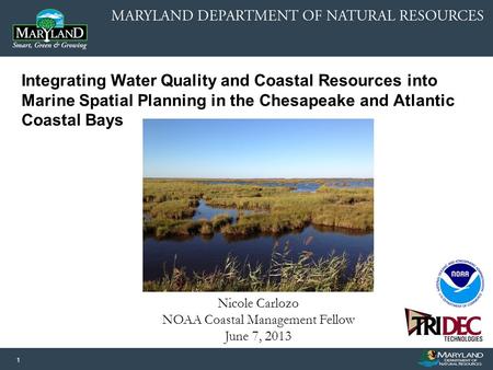 1 Nicole Carlozo NOAA Coastal Management Fellow June 7, 2013 Integrating Water Quality and Coastal Resources into Marine Spatial Planning in the Chesapeake.