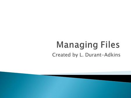 Created by L. Durant-Adkins. This is the Drive that all documents are saved to. Think of this as the Main file cabinet. The Main File cabinet is called.