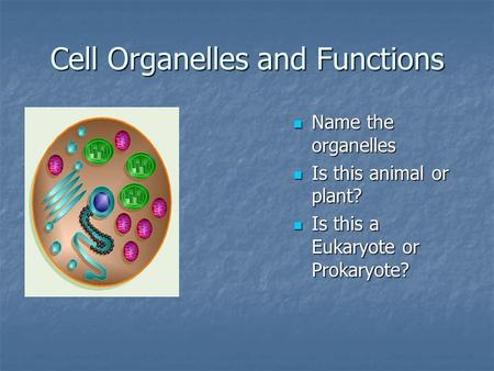 Cell Organelles and Functions Name the organelles Name the organelles Is this animal or plant? Is this animal or plant? Is this a Eukaryote or Prokaryote?