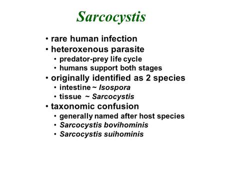 Sarcocystis rare human infection heteroxenous parasite