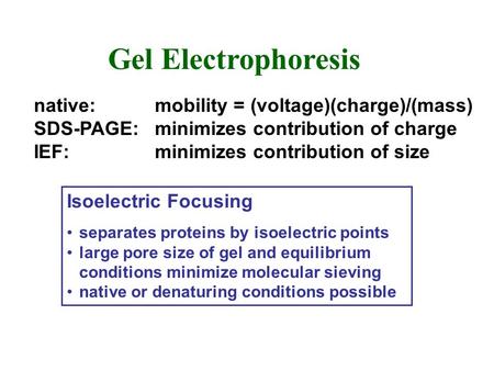 Gel Electrophoresis native: mobility = (voltage)(charge)/(mass)