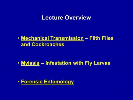 Lecture Overview Mechanical Transmission – Filth Flies and Cockroaches