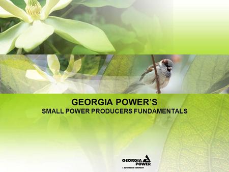 GEORGIA POWERS SMALL POWER PRODUCERS FUNDAMENTALS.