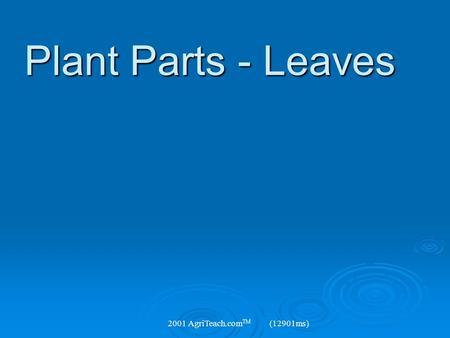 Plant Parts - Leaves 2001 AgriTeach.comTM (12901ms)