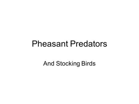 Pheasant Predators And Stocking Birds. Predators The greatest predators of the pheasant are the red fox, the striped skunk and the raccoon. Birds of prey.