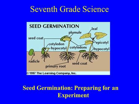 Seed Germination: Preparing for an Experiment