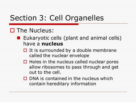 Section 3: Cell Organelles