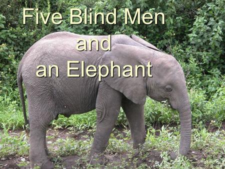 Five Blind Men and an Elephant. Five blind men were taken to see an elephant. Each examined it as best he could, and described it in terms of his experience.