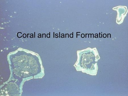 Coral and Island Formation. Coral – Animal, Mineral or Vegetable? We use the word Coral to refer to both the Skeleton of the coral animal, and to the.
