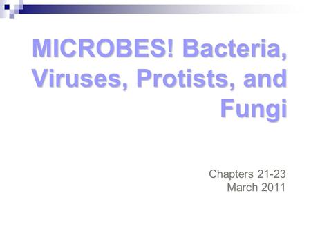 MICROBES! Bacteria, Viruses, Protists, and Fungi Chapters 21-23 March 2011.