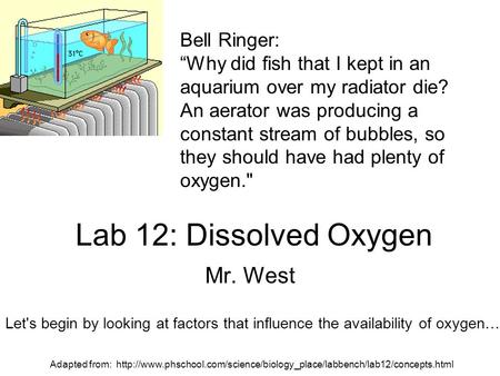 Lab 12: Dissolved Oxygen Mr. West Bell Ringer: