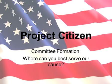 Project Citizen Committee Formation: Where can you best serve our cause?