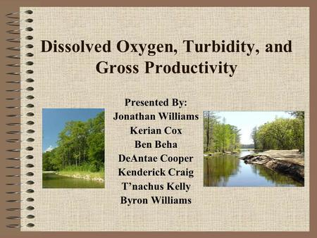 Dissolved Oxygen, Turbidity, and Gross Productivity