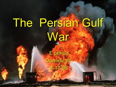 The Persian Gulf War E period Dominic W. 4-17-08.