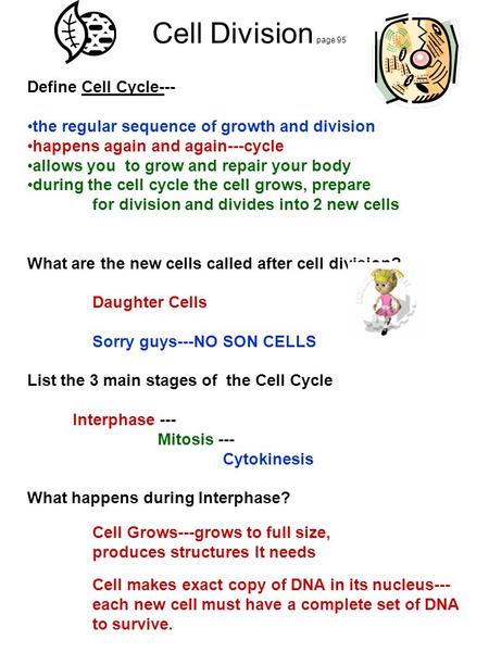 Cell Division page 95 Define Cell Cycle---