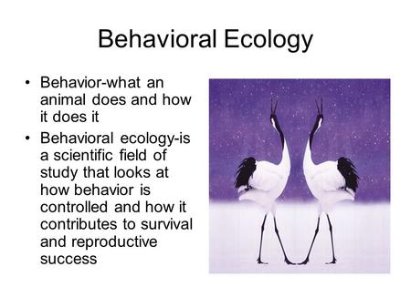 Behavioral Ecology Behavior-what an animal does and how it does it