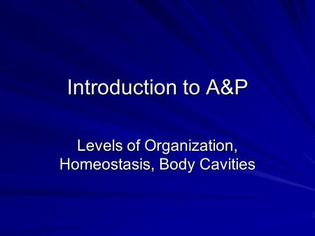 Levels of Organization, Homeostasis, Body Cavities