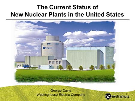 New Nuclear Plants in the United States