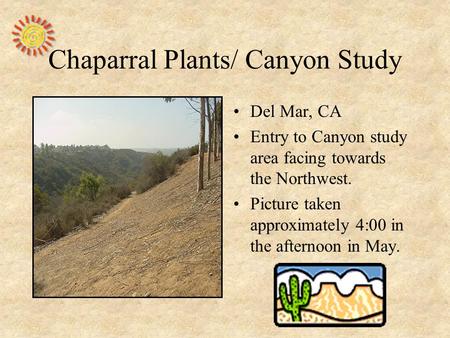 Chaparral Plants/ Canyon Study Del Mar, CA Entry to Canyon study area facing towards the Northwest. Picture taken approximately 4:00 in the afternoon in.