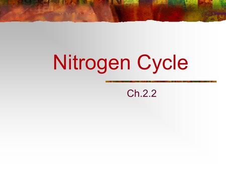 Nitrogen Cycle Ch.2.2.