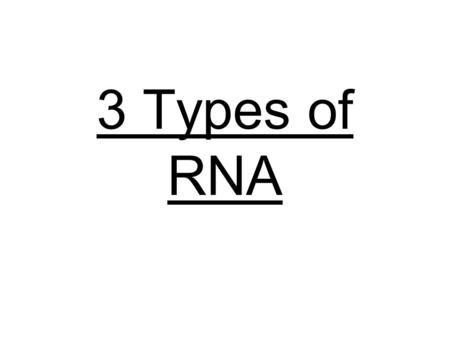 3 Types of RNA.