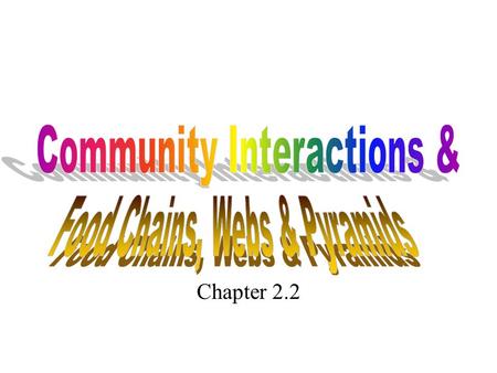 Community Interactions &