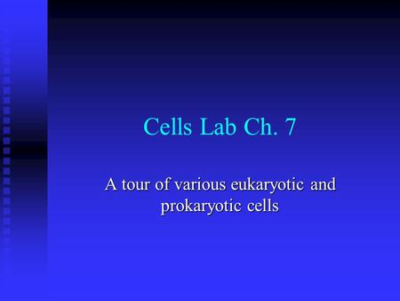 A tour of various eukaryotic and prokaryotic cells
