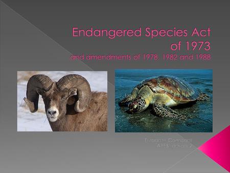 Signed on December 1973 and provides for the conservation of species that are endangered or threatened throughout all or significant portion of their.
