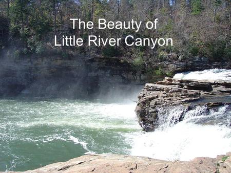 The Beauty of Little River Canyon. There can be no greater issue than that of conservation in this country. Theodore Roosevelt.