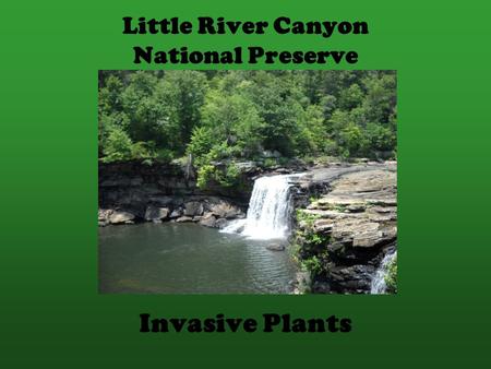 Little River Canyon National Preserve Invasive Plants.
