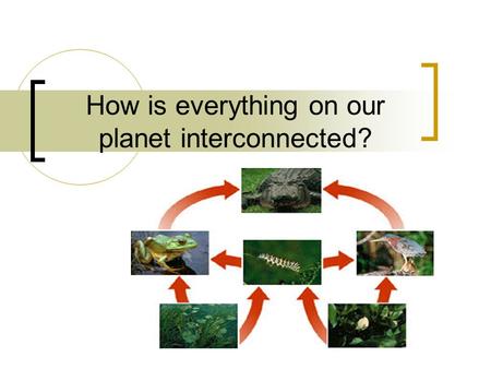 How is everything on our planet interconnected?. Layers of Our Planet Geosphere: solid part of earth that consists of soil, rock and sediments. Atmosphere: