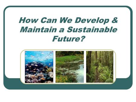 How Can We Develop & Maintain a Sustainable Future?