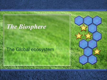 The Biosphere The Global ecosystem. Ecology Study of how organisms interact with each other and their environment Helps us understand environmental issues.