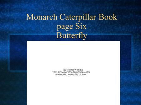Monarch Caterpillar Book page Six Butterfly. Butterfly At first the butterflys wings are very small and its abdomen very large. The fluid gets pumped.