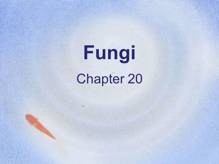 Fungi Chapter 20.