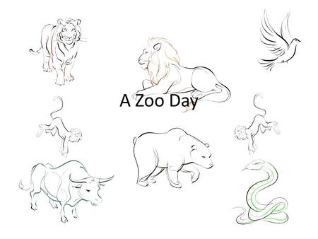 A Zoo Day.