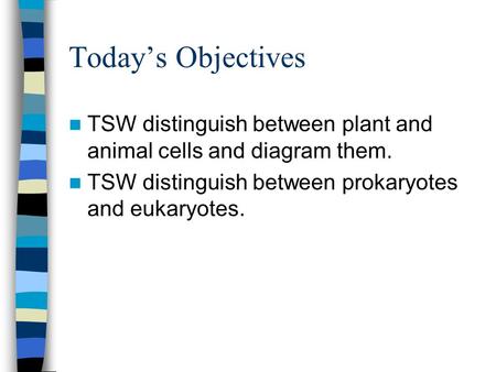 Today’s Objectives TSW distinguish between plant and animal cells and diagram them. TSW distinguish between prokaryotes and eukaryotes.