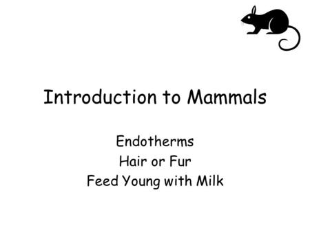 Introduction to Mammals Endotherms Hair or Fur Feed Young with Milk.