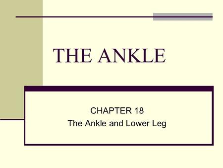 CHAPTER 18 The Ankle and Lower Leg