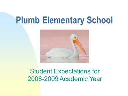 Plumb Elementary School Student Expectations for 2008-2009 Academic Year.