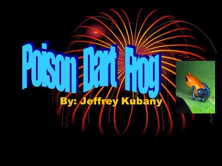 Poison Dart Frog By: Jeffrey Kubany.