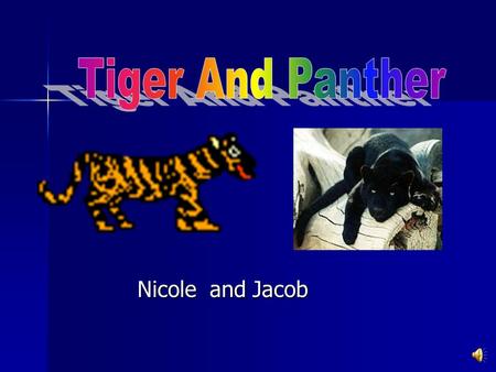 Tiger And Panther Nicole and Jacob.