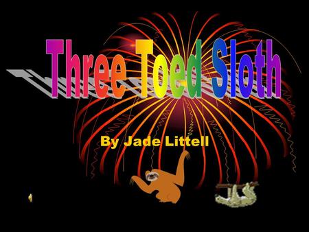 Three Toed Sloth By Jade Littell.