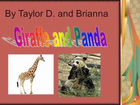 By Taylor D. and Brianna Giraffe and Panda                                      